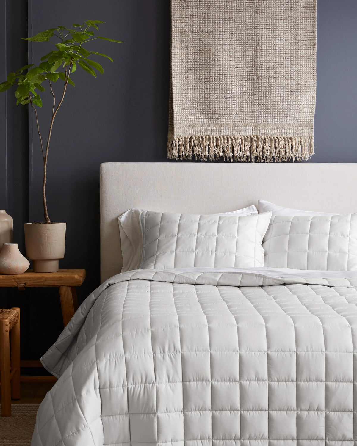 Bamboo Box Quilted Sham Set - Standard / Sage