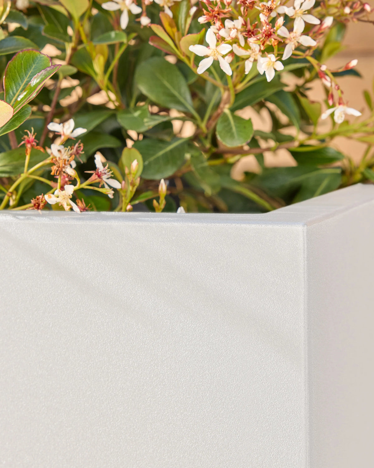 Block Series All Weather Rectangular Planter by Veradek - One Size / Black
