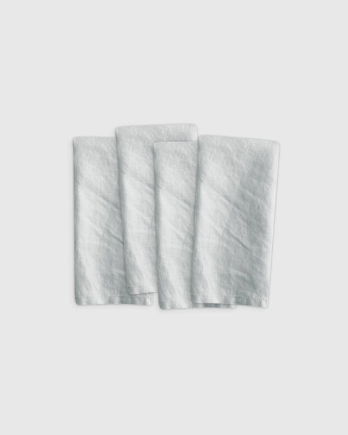 European Linen Napkins (Set of 4) - One Size / Mist