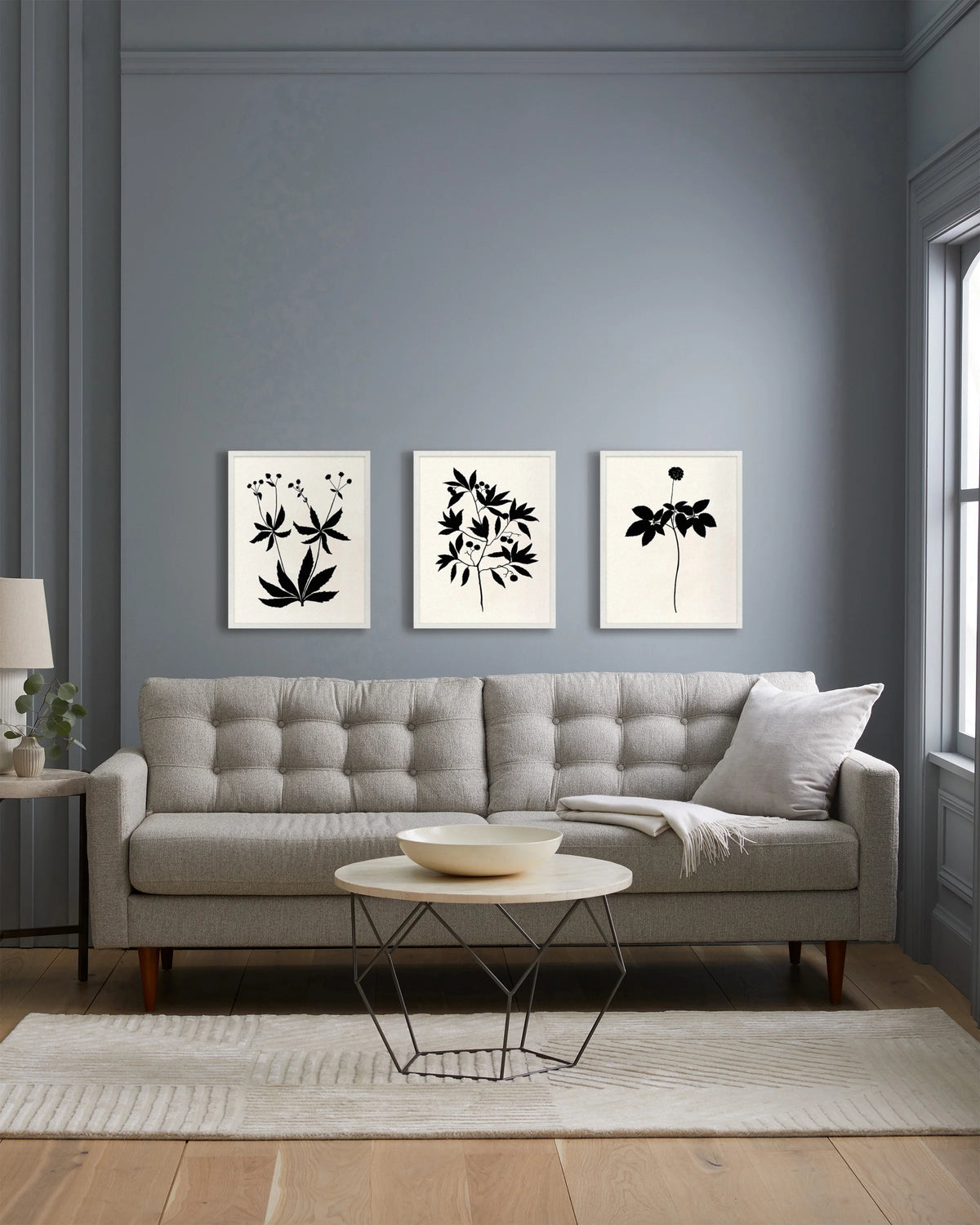 Botanical by Philippa Katz (Set of 3) - 17.25"x21.25" / Black