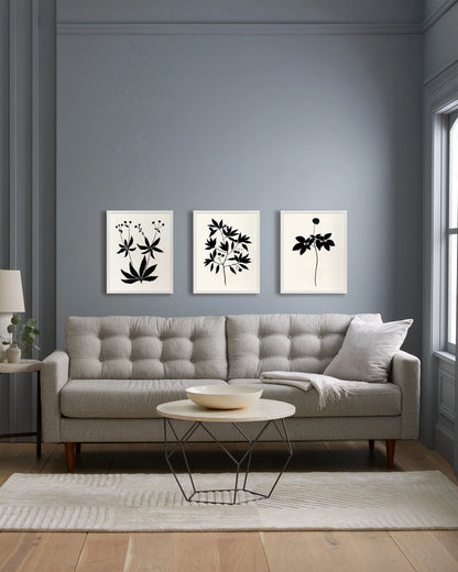 Botanical by Philippa Katz (Set of 3) - 17.25"x21.25" / Black