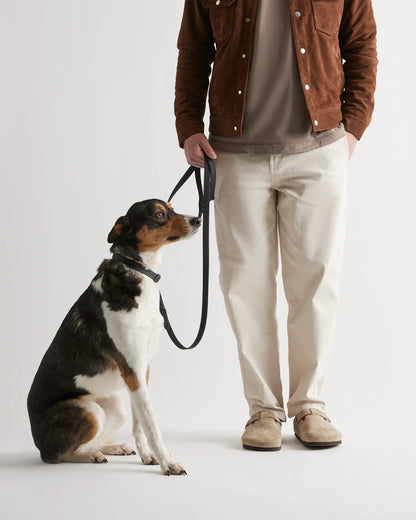 Dog Collar Walk Kit - XS / Black