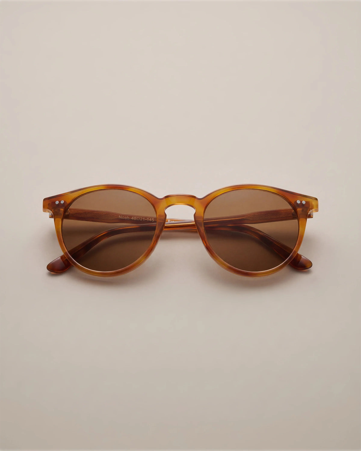 Noah Polarized Acetate Sunglasses - Standard / Tortoise with Brown lens