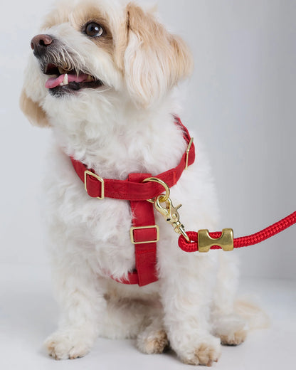 100% Cotton-Wrapped Nylon Dog Harness - XS / Navy