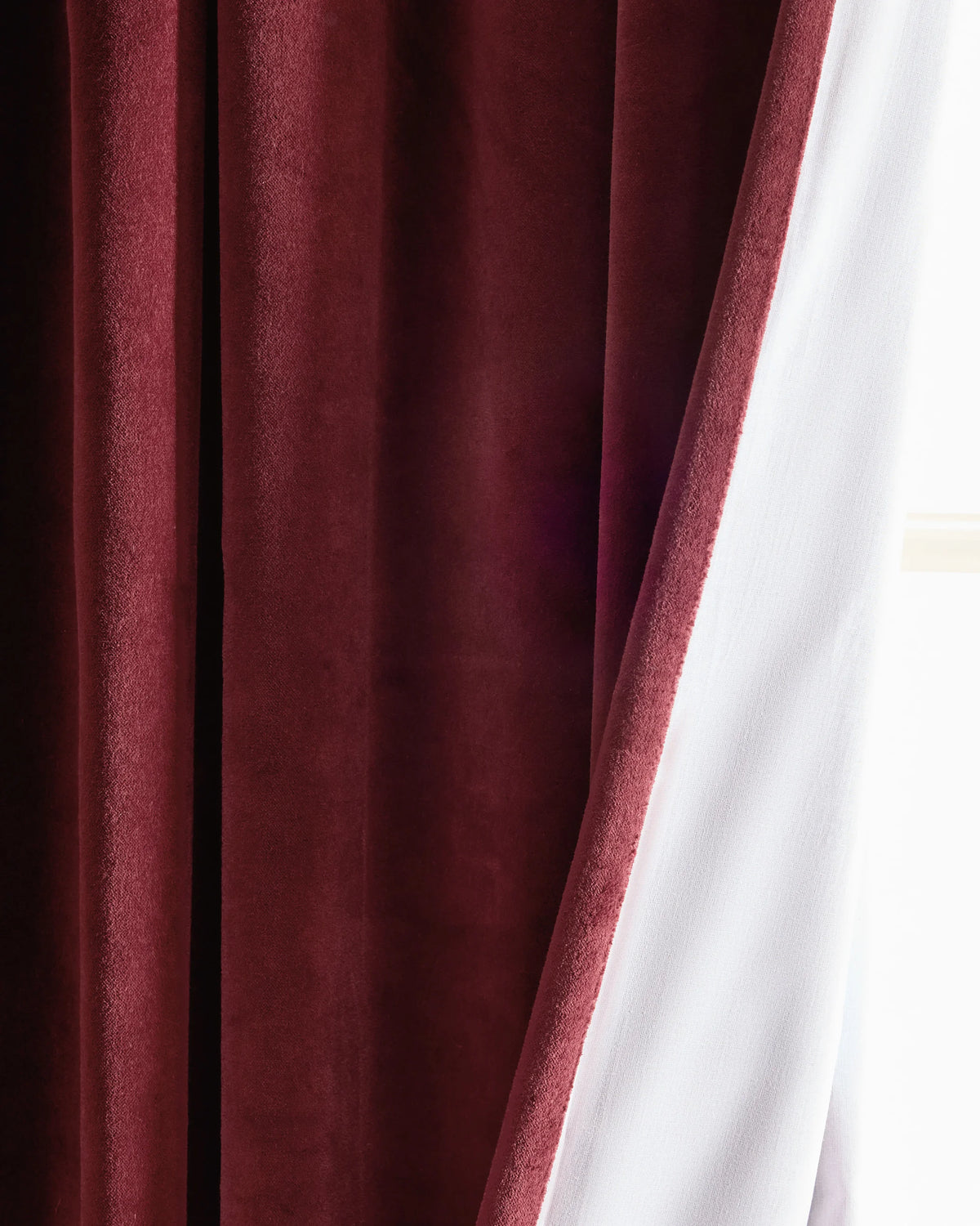 Cotton Velvet Curtain - Single Panel - 48x84 / Ivory