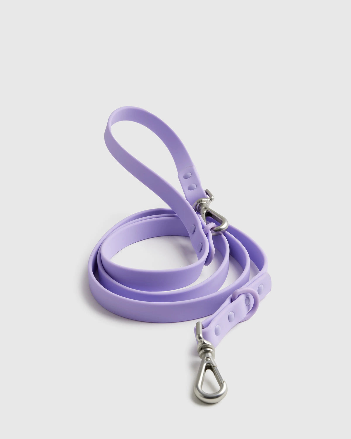 Dog Harness Walk Kit - XS / Black