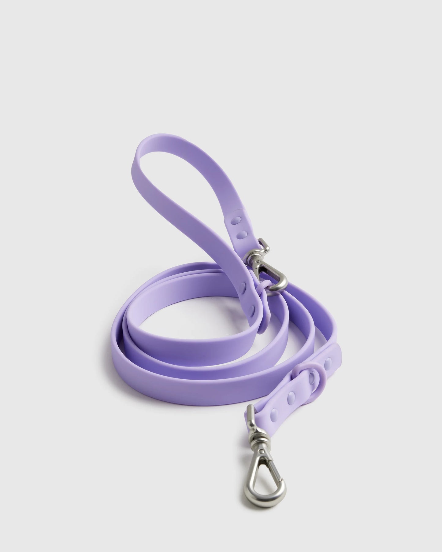 Dog Collar Walk Kit - XS / Black