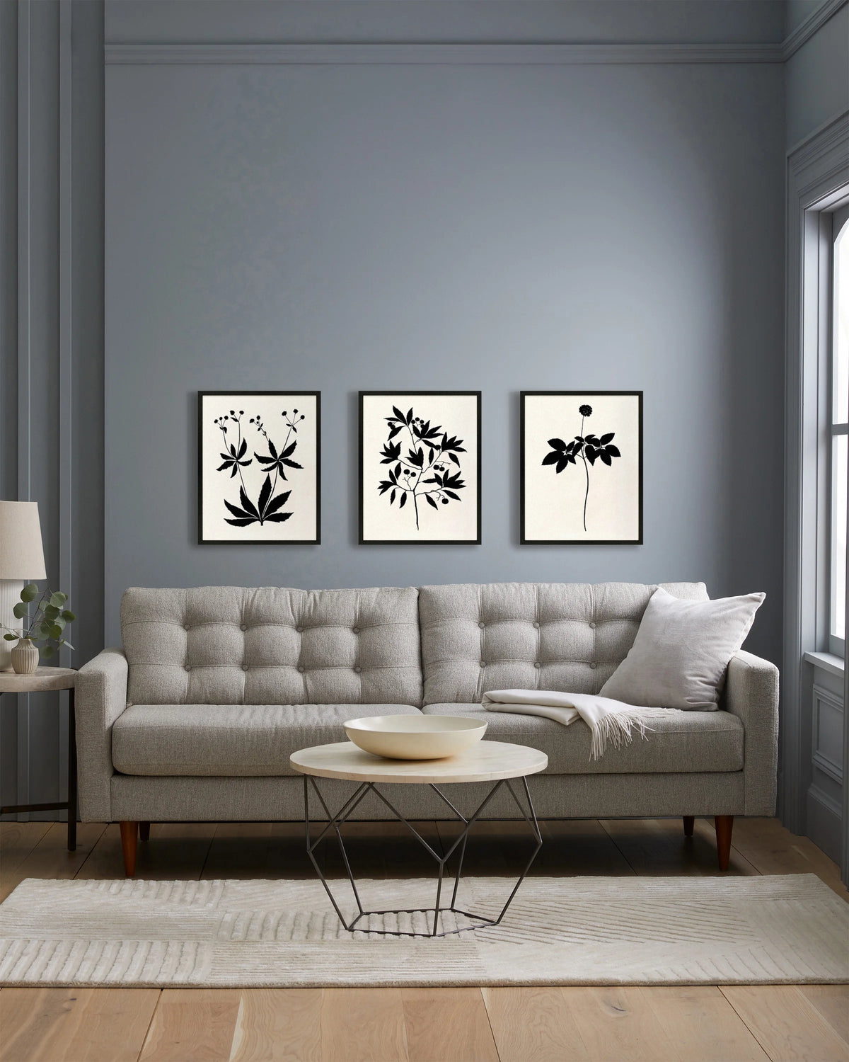 Botanical by Philippa Katz (Set of 3) - 17.25"x21.25" / Black