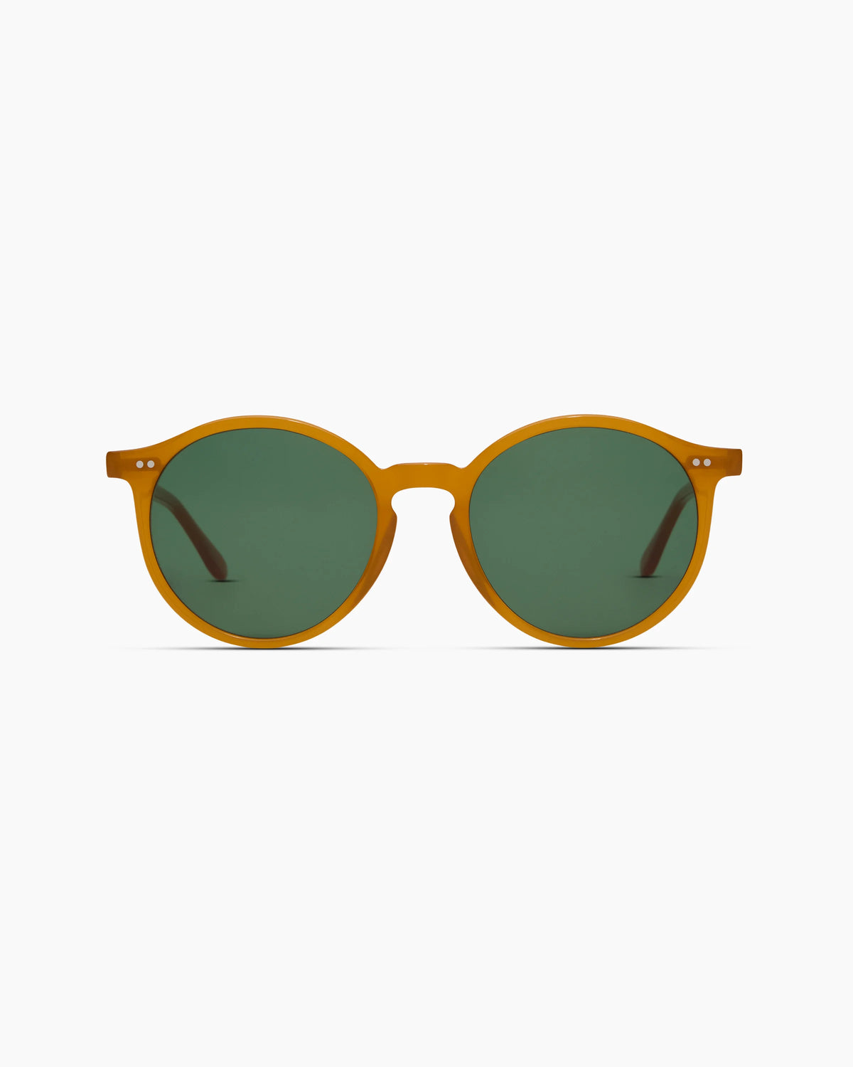 Brixton Polarized Acetate Sunglasses - Standard / Clear Taupe with Brown lens