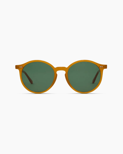 Brixton Polarized Acetate Sunglasses - Standard / Clear Taupe with Brown lens