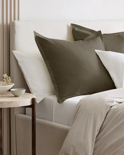 Organic Brushed Cotton Euro Sham - Euro / Dusty Olive