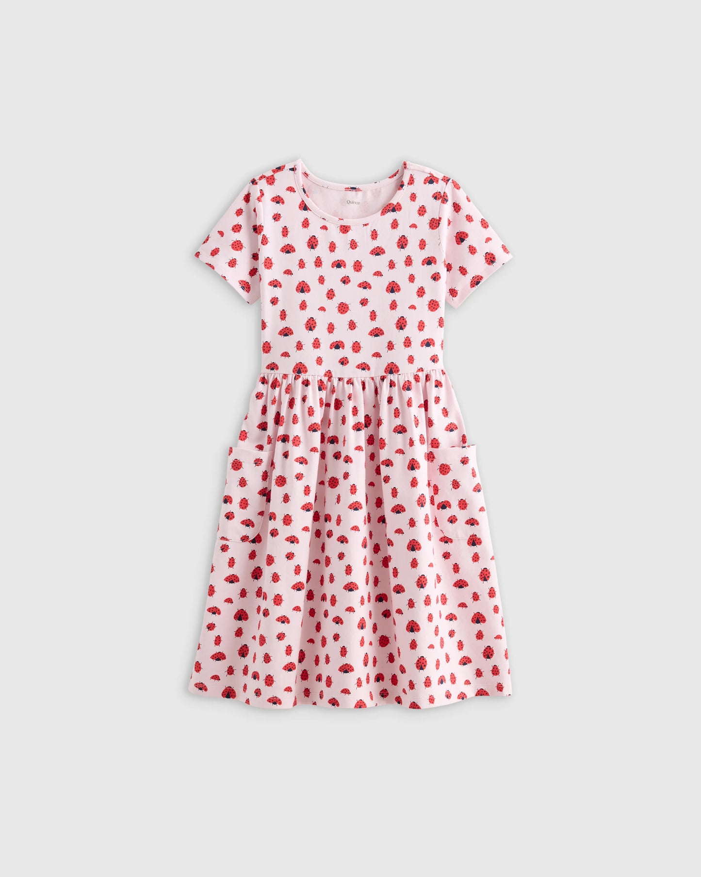 Organic Cotton Fit and Flare Pocket Dress - 2T / Critter Floral