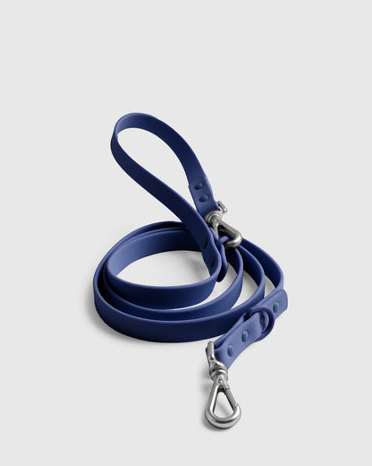Dog Harness Walk Kit - XS / Black