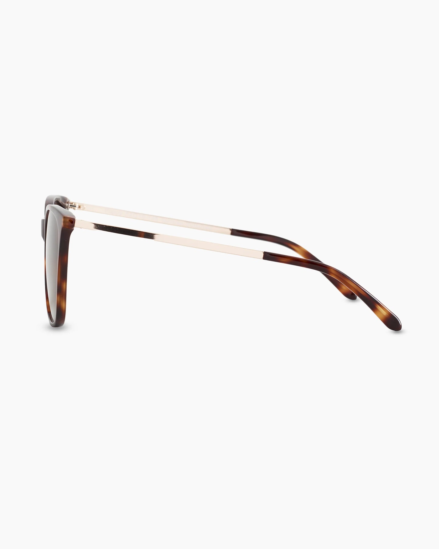 Poppy Polarized Acetate Sunglasses - One Size / Tortoise with Brown Gradient lens