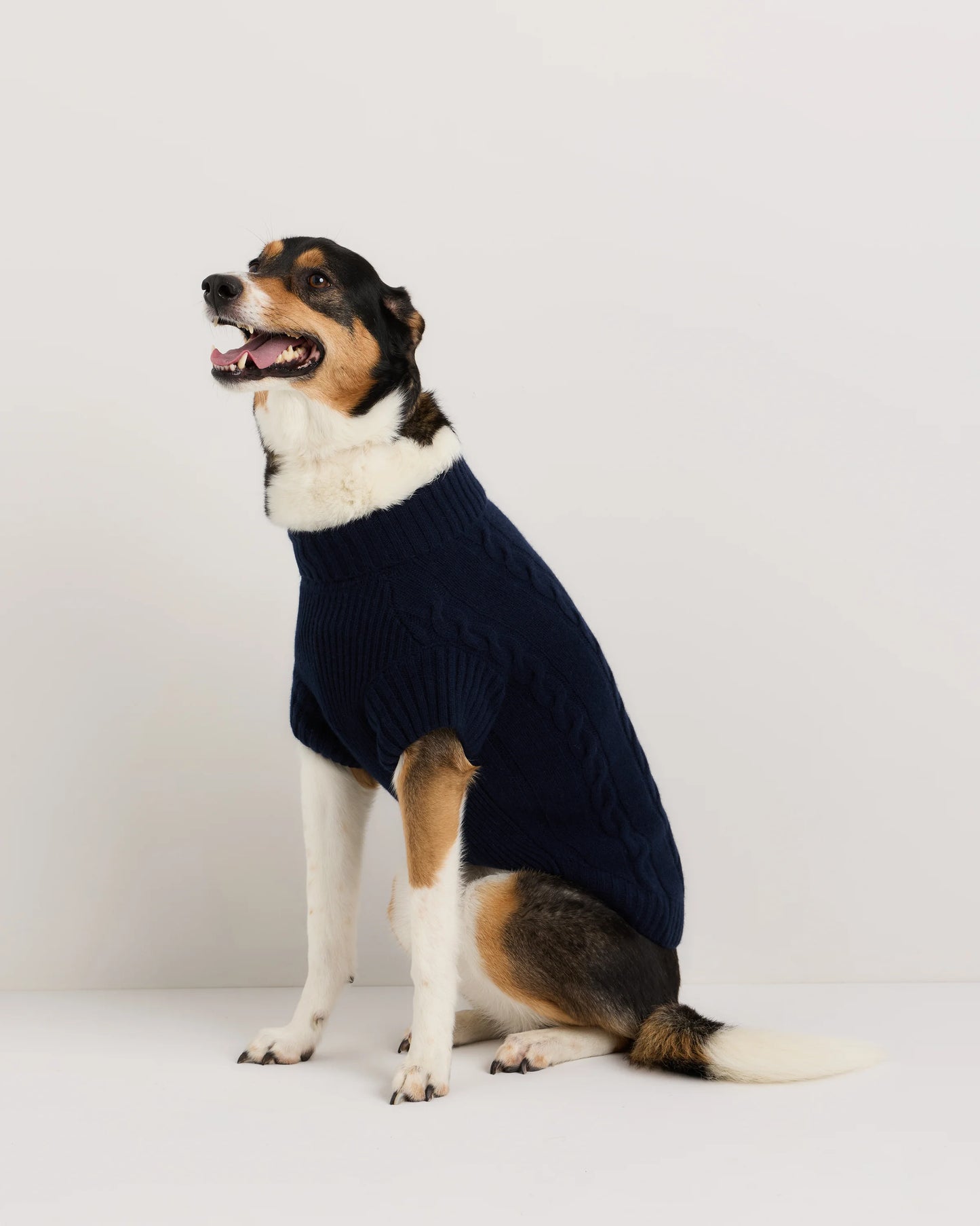 Mongolian Cashmere Cable Knit Dog Sweater - XS / True Navy