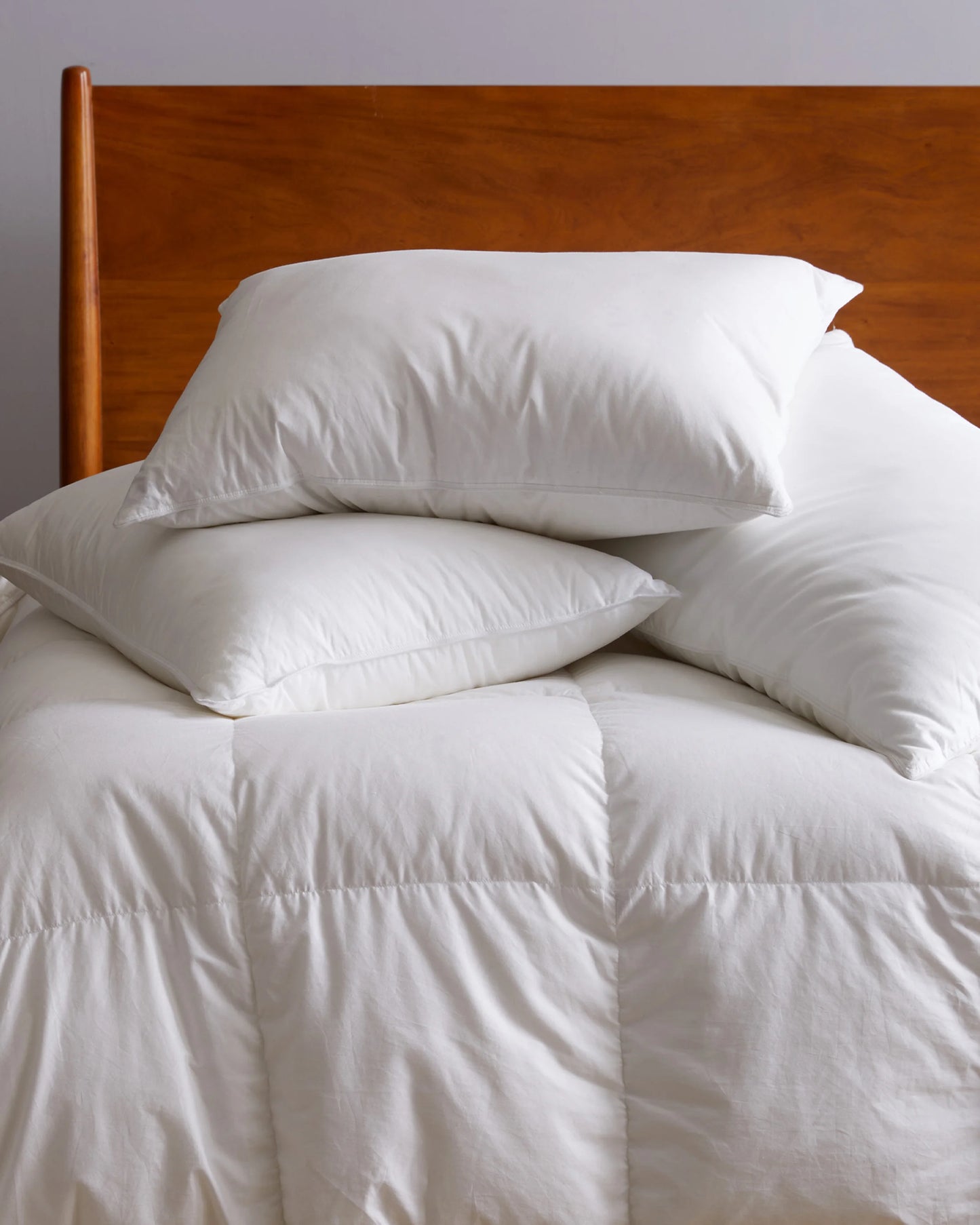 Lightweight Premium Down Duvet Insert - Twin / Down