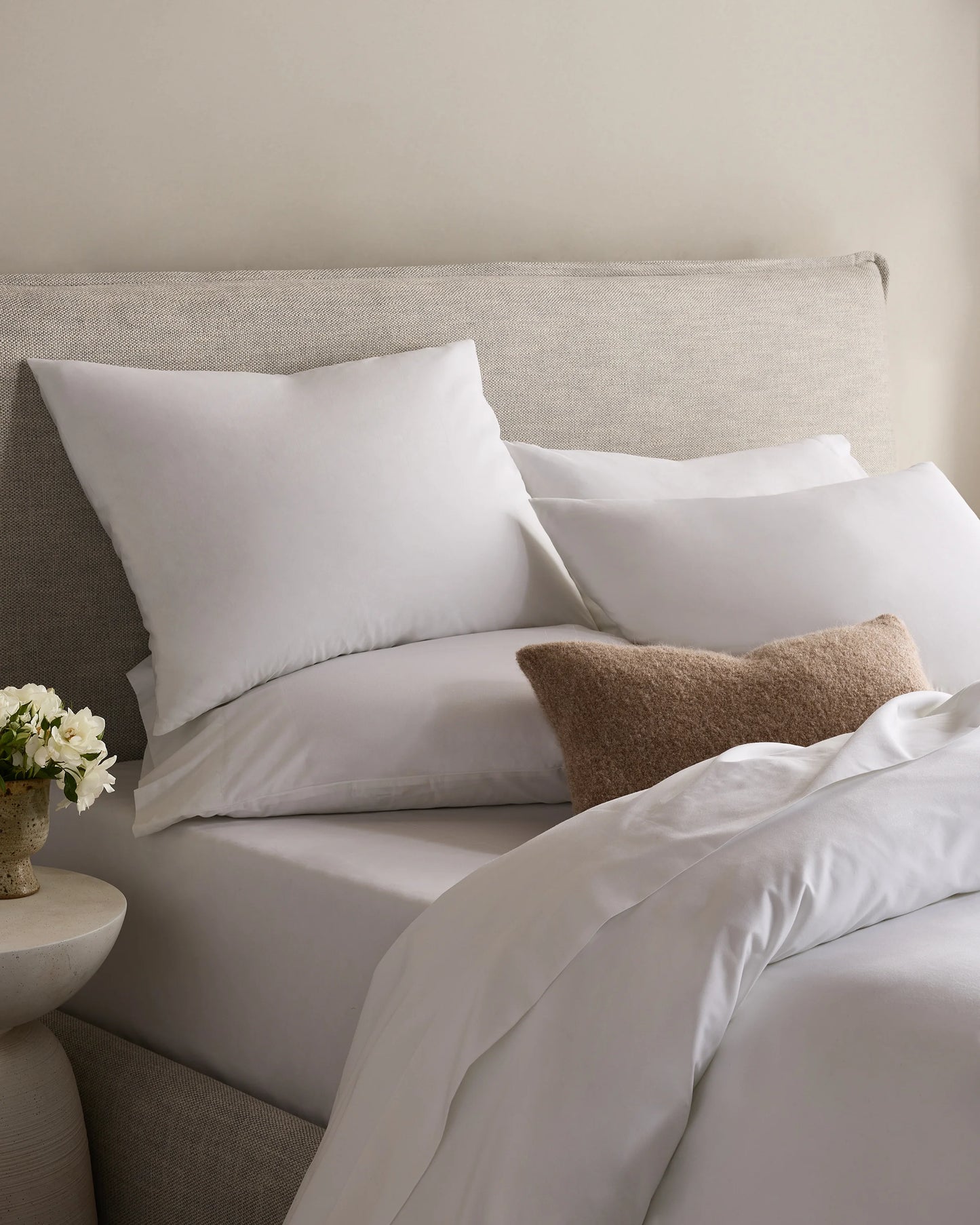 Organic Crisp Percale Sham Set - Standard / White