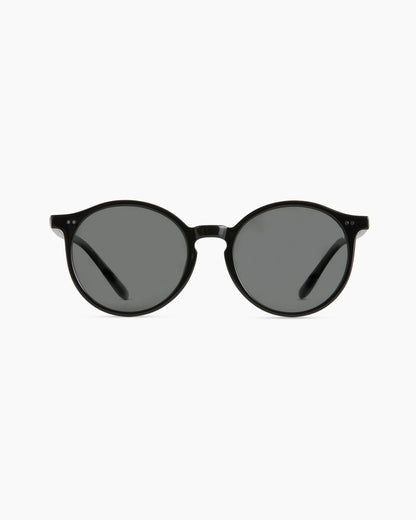 Brixton Polarized Acetate Sunglasses - Standard / Clear Taupe with Brown lens