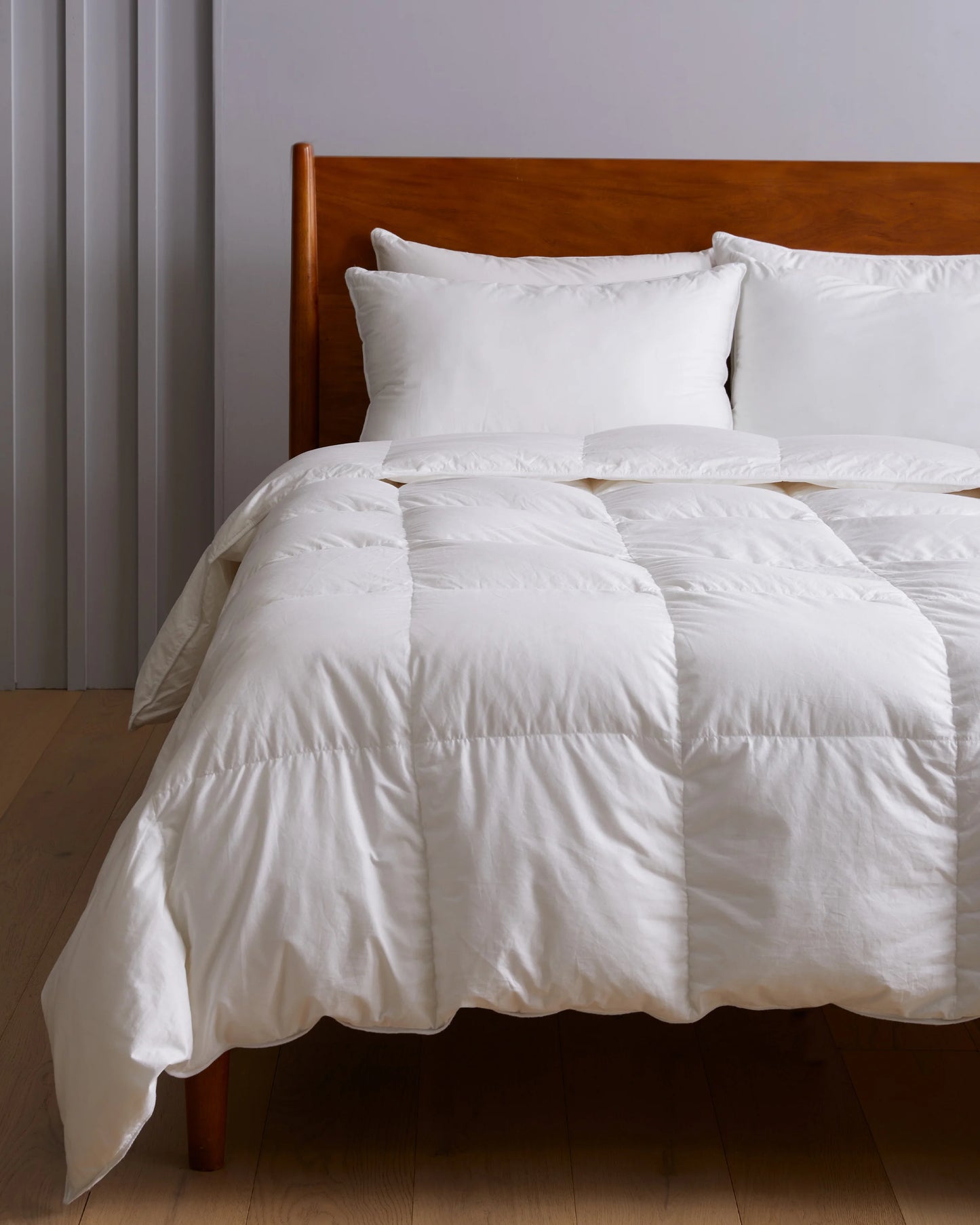 Lightweight Premium Down Alternative Duvet Insert - Twin / White