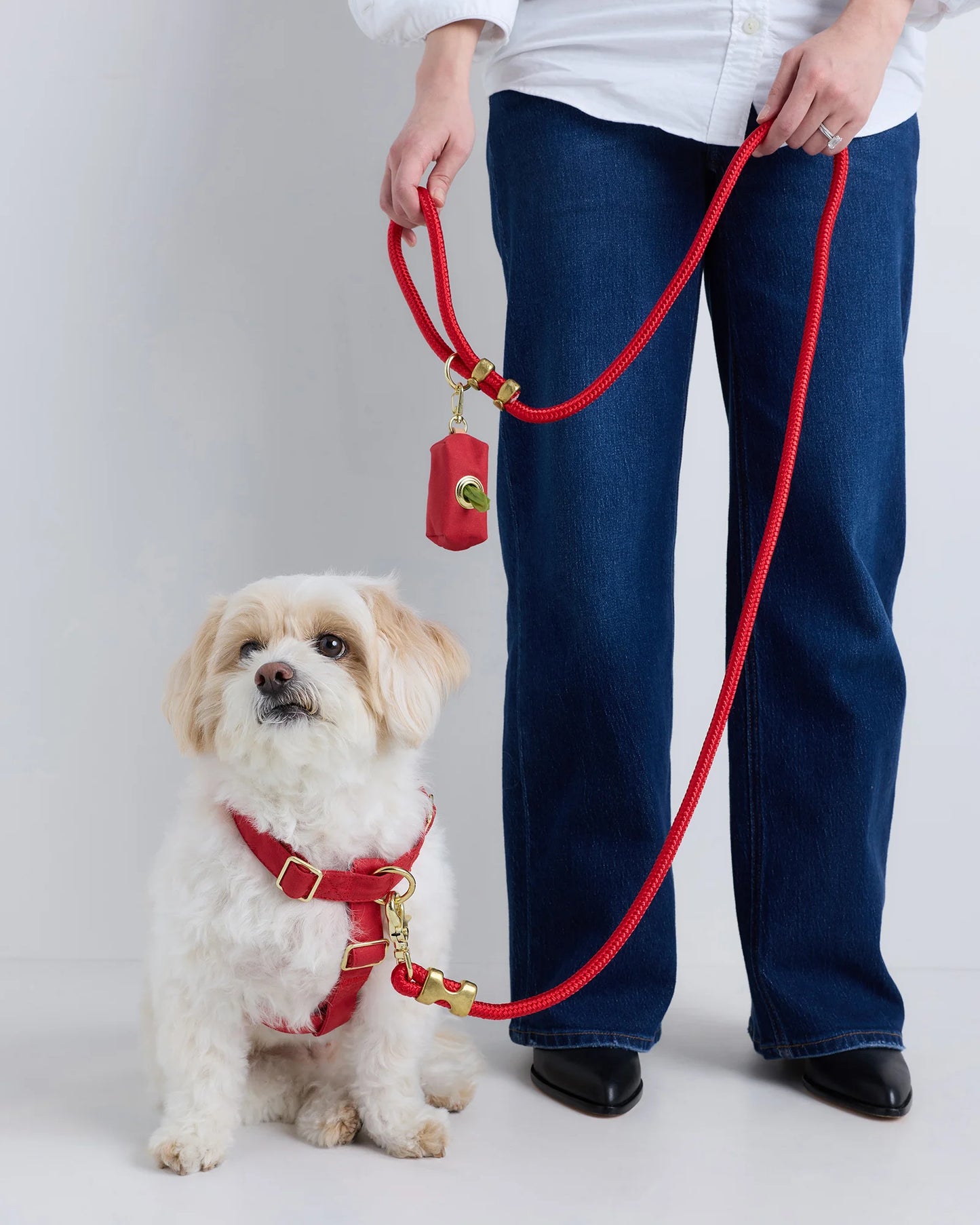 100% Cotton-Wrapped Nylon Dog Harness - XS / Navy