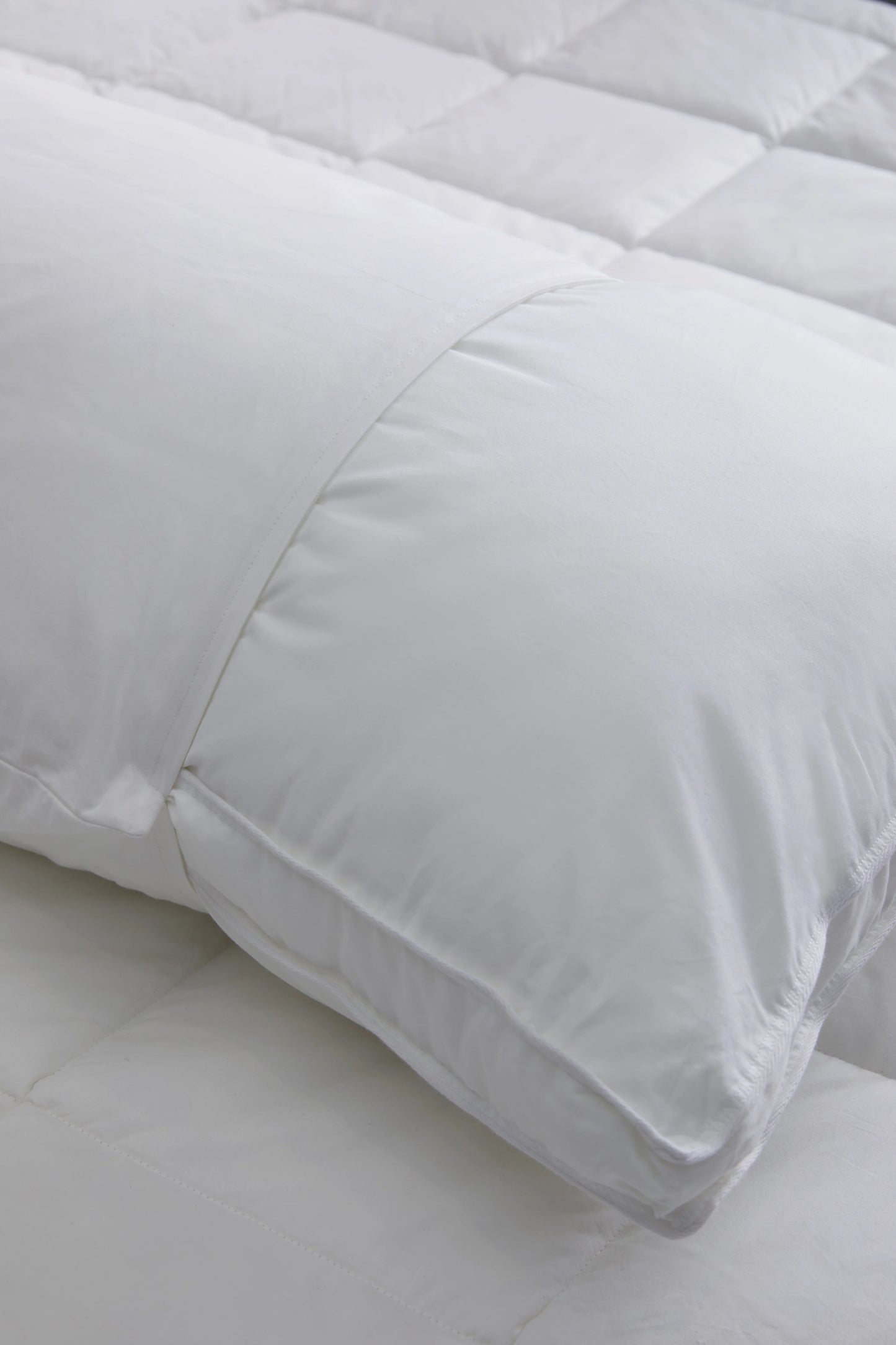 100% Cotton Pillow Protectors (Set of 2) - Standard / White