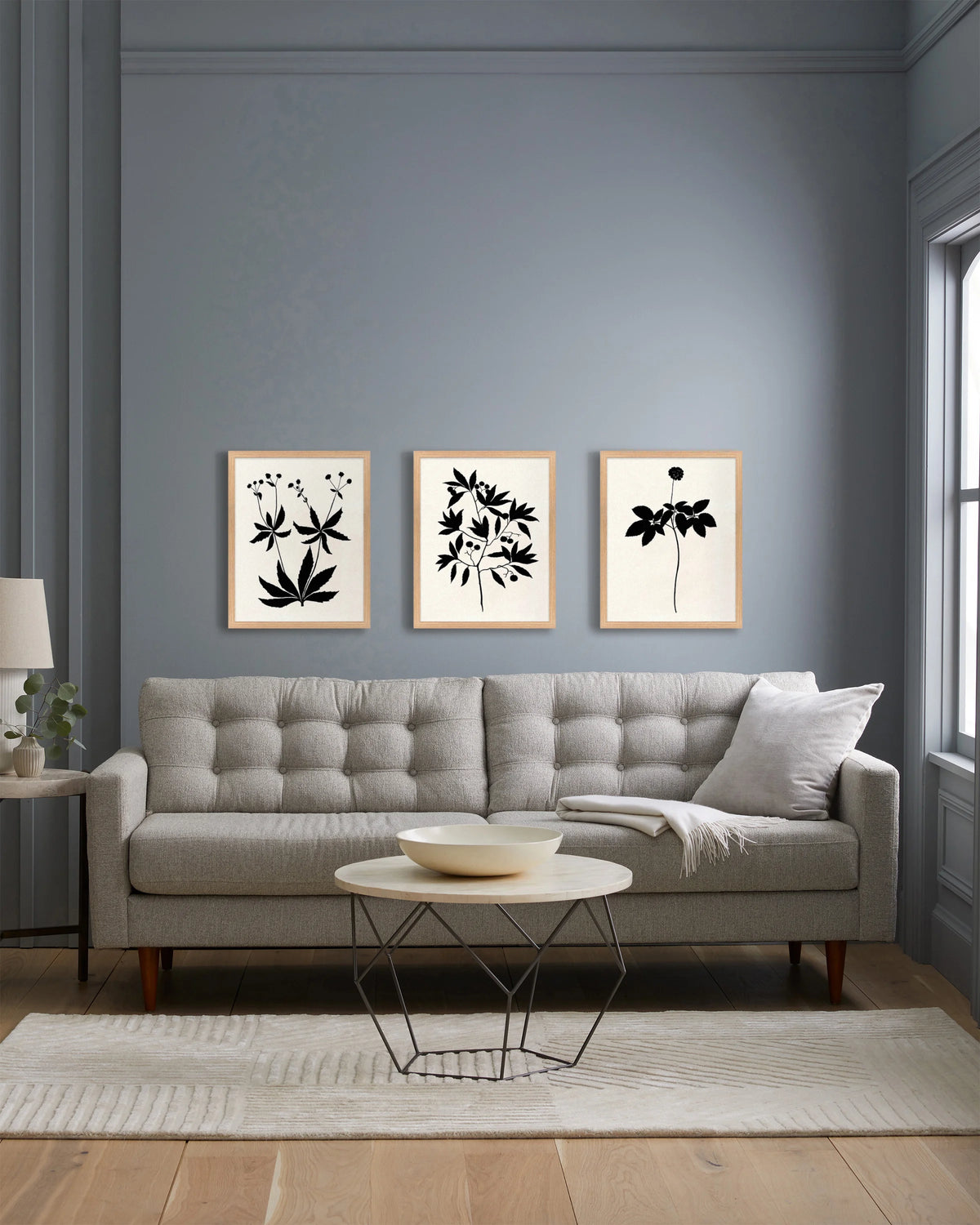 Botanical by Philippa Katz (Set of 3) - 17.25"x21.25" / Black