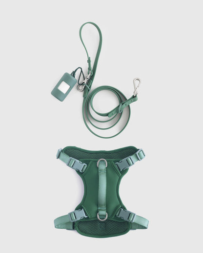 Dog Harness Walk Kit - XS / Black