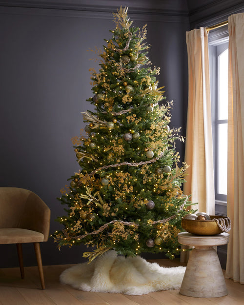 Fraser Fir Christmas Tree: Lit - 6.5' / Forest Green