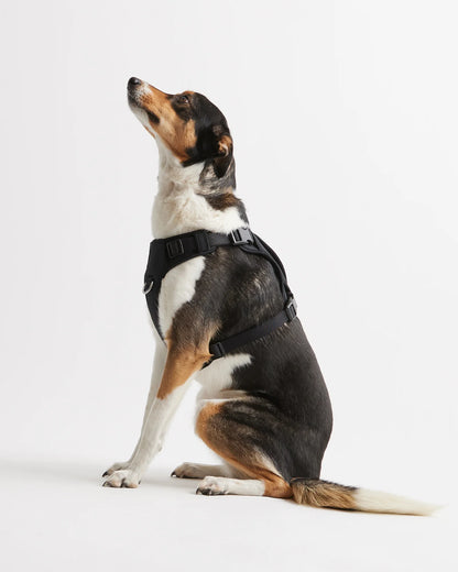 Neoprene Double Panel Dog Harness - XS / Black