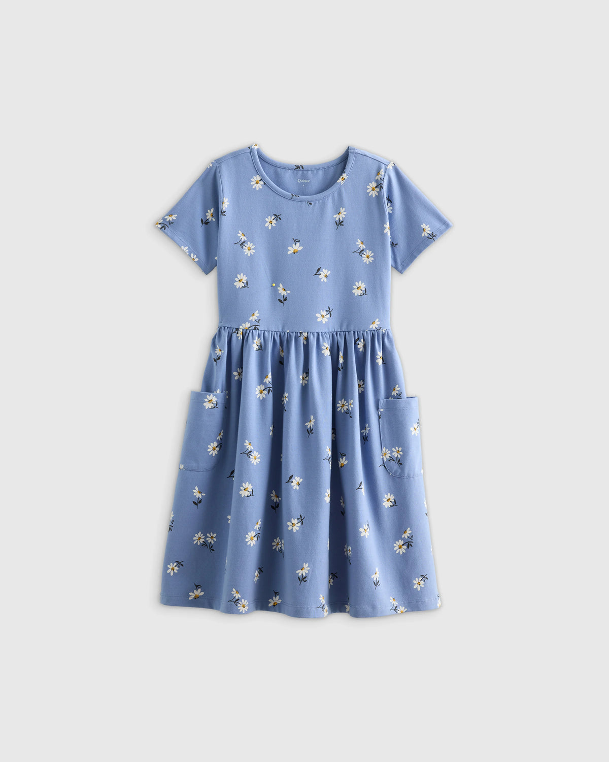 Organic Cotton Fit and Flare Pocket Dress - 2T / Critter Floral