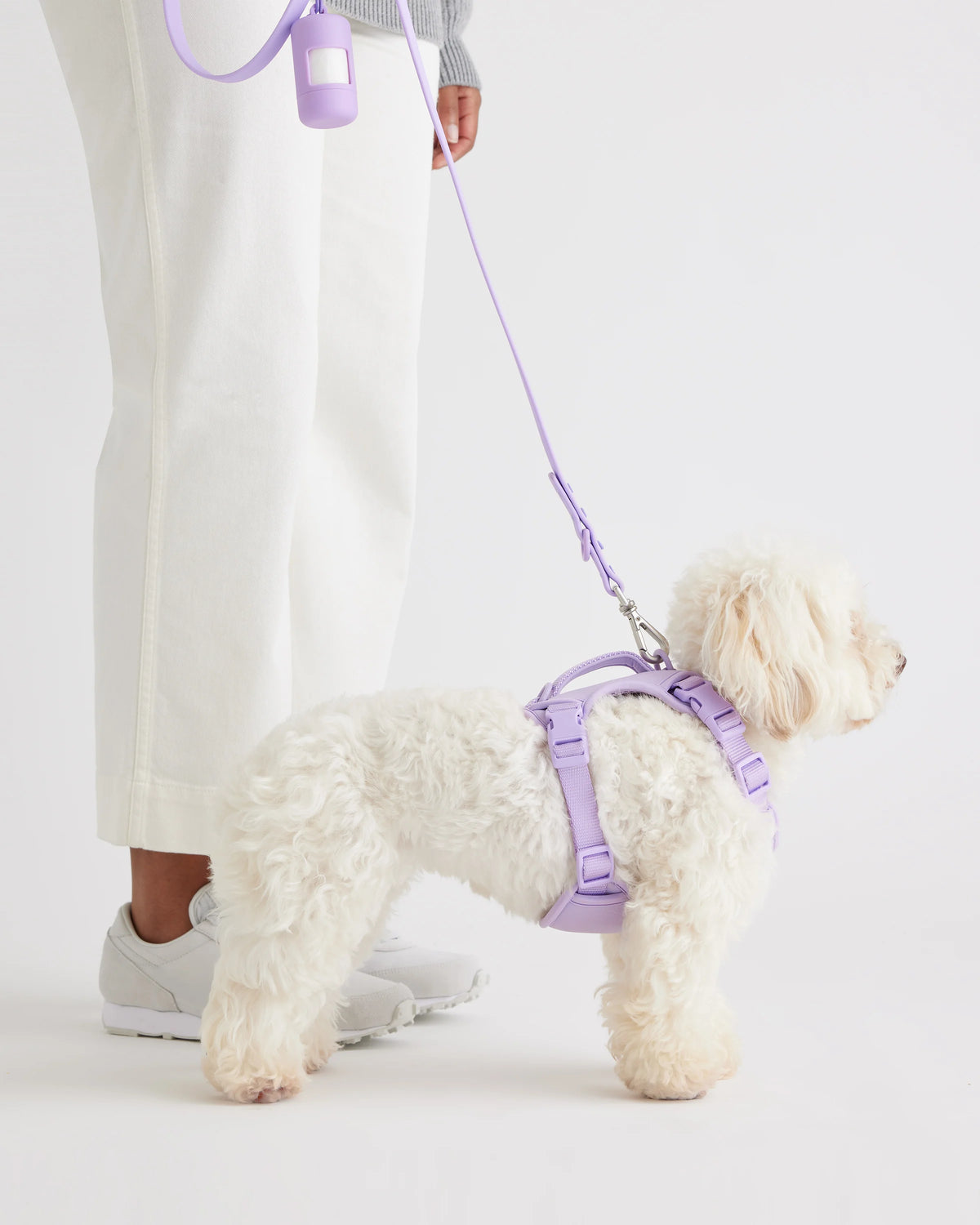 Dog Harness Walk Kit - XS / Black