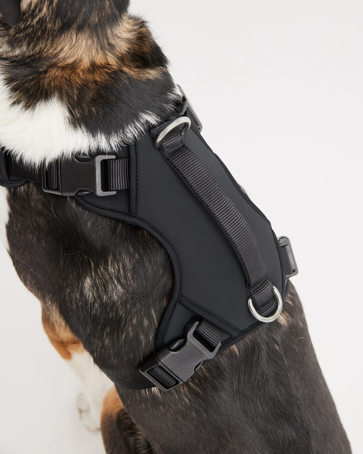 Neoprene Double Panel Dog Harness - XS / Black
