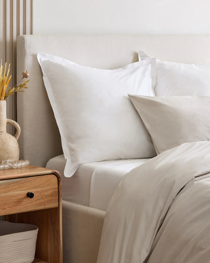 Organic Brushed Cotton Euro Sham - Euro / Dusty Olive