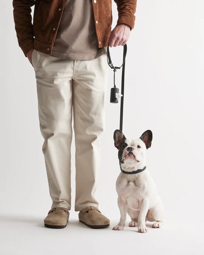 Dog Collar Walk Kit - XS / Black