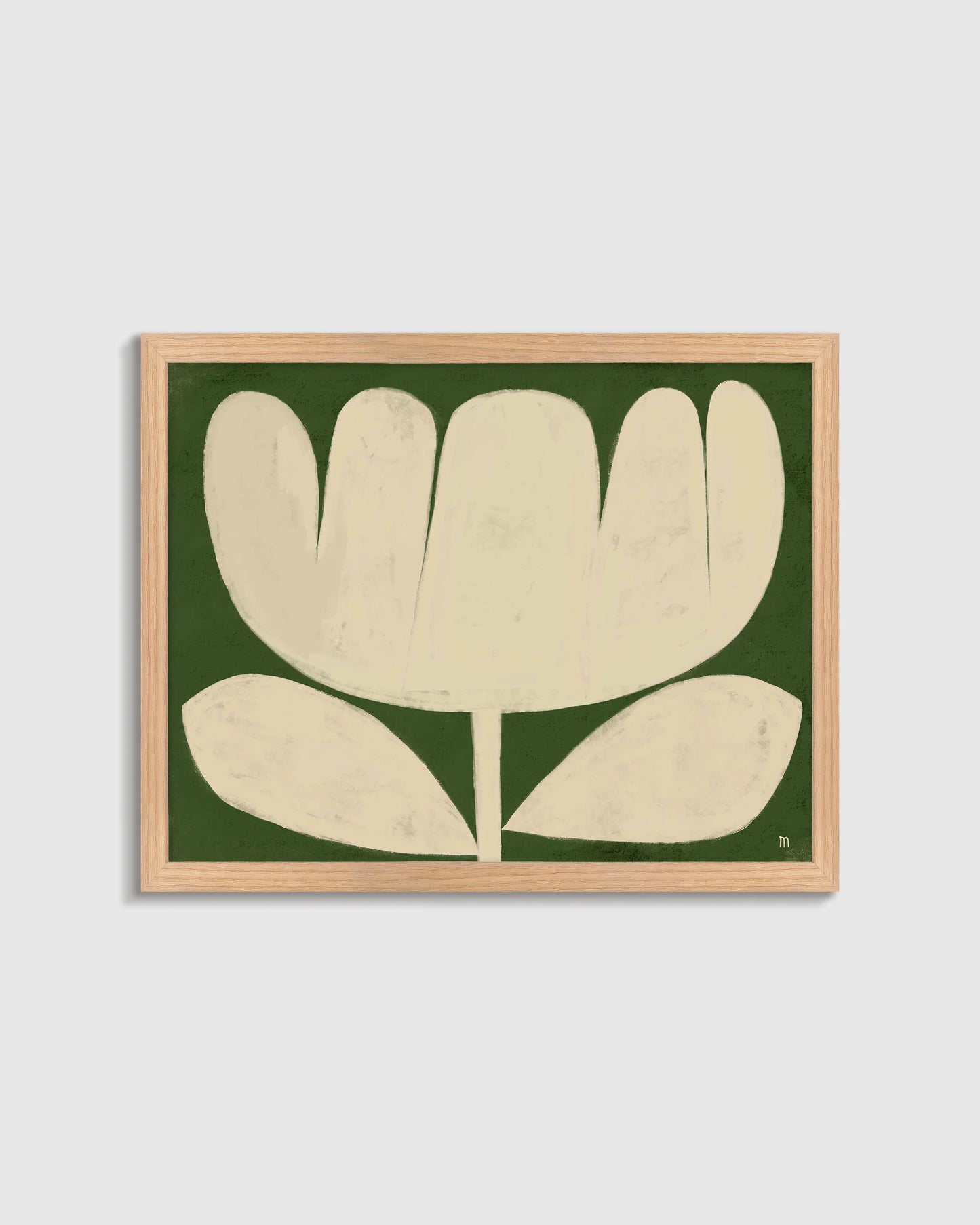 Tulip in Full by Marco Marella - 17.25"x25.25" / White