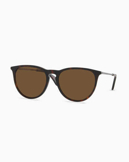 Emily Polarized Acetate Sunglasses - One Size / Tortoise with Brown lens