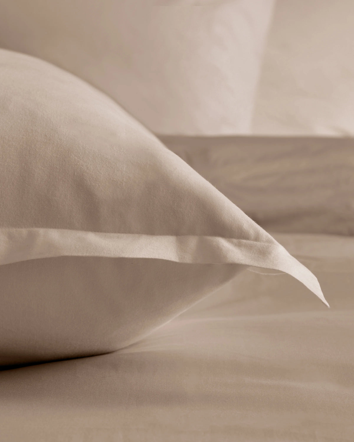 Organic Brushed Cotton Euro Sham - Euro / Dusty Olive