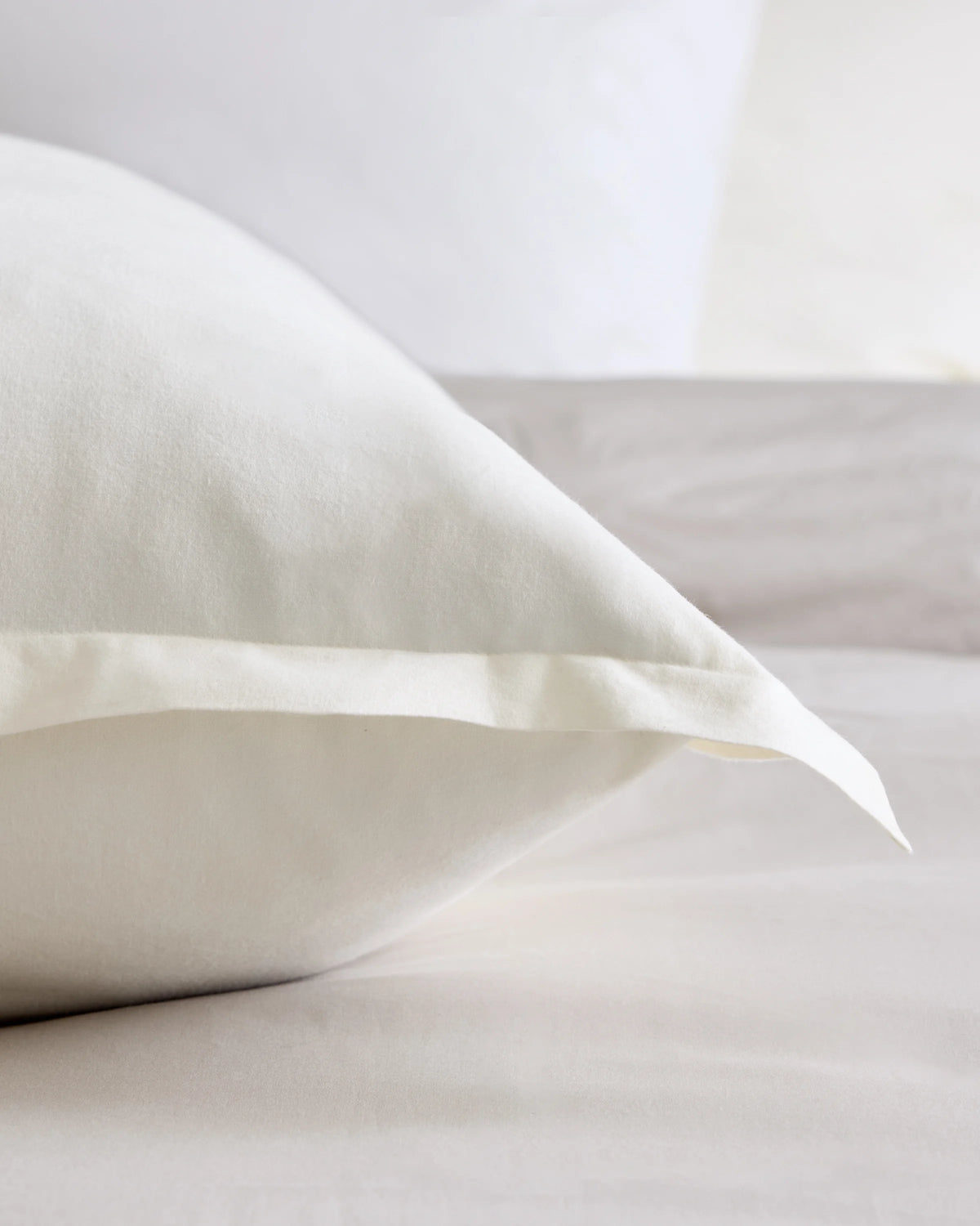 Organic Brushed Cotton Euro Sham - Euro / Dusty Olive