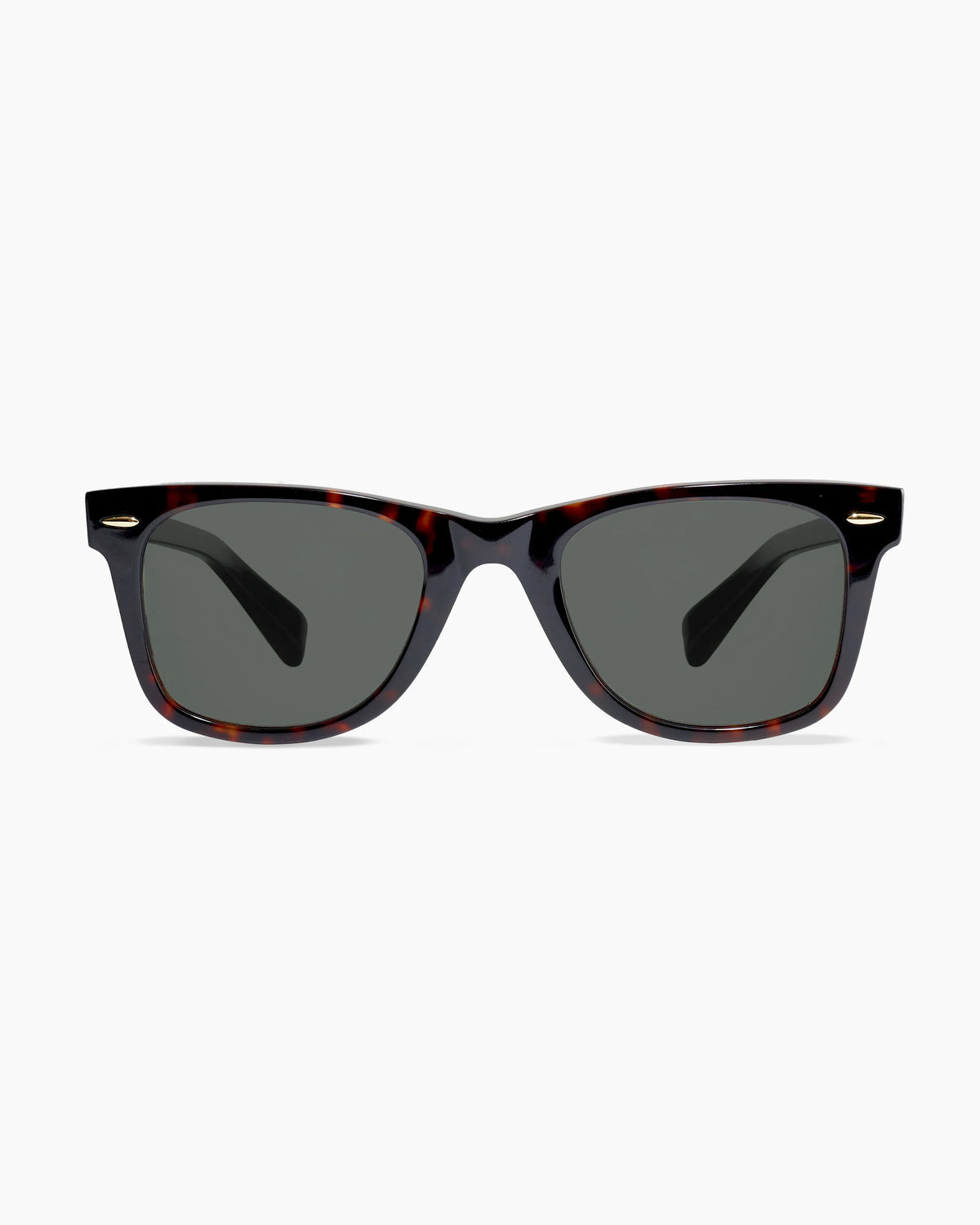 Walker Polarized Acetate Sunglasses - One Size / Clear Slate with Grey lens