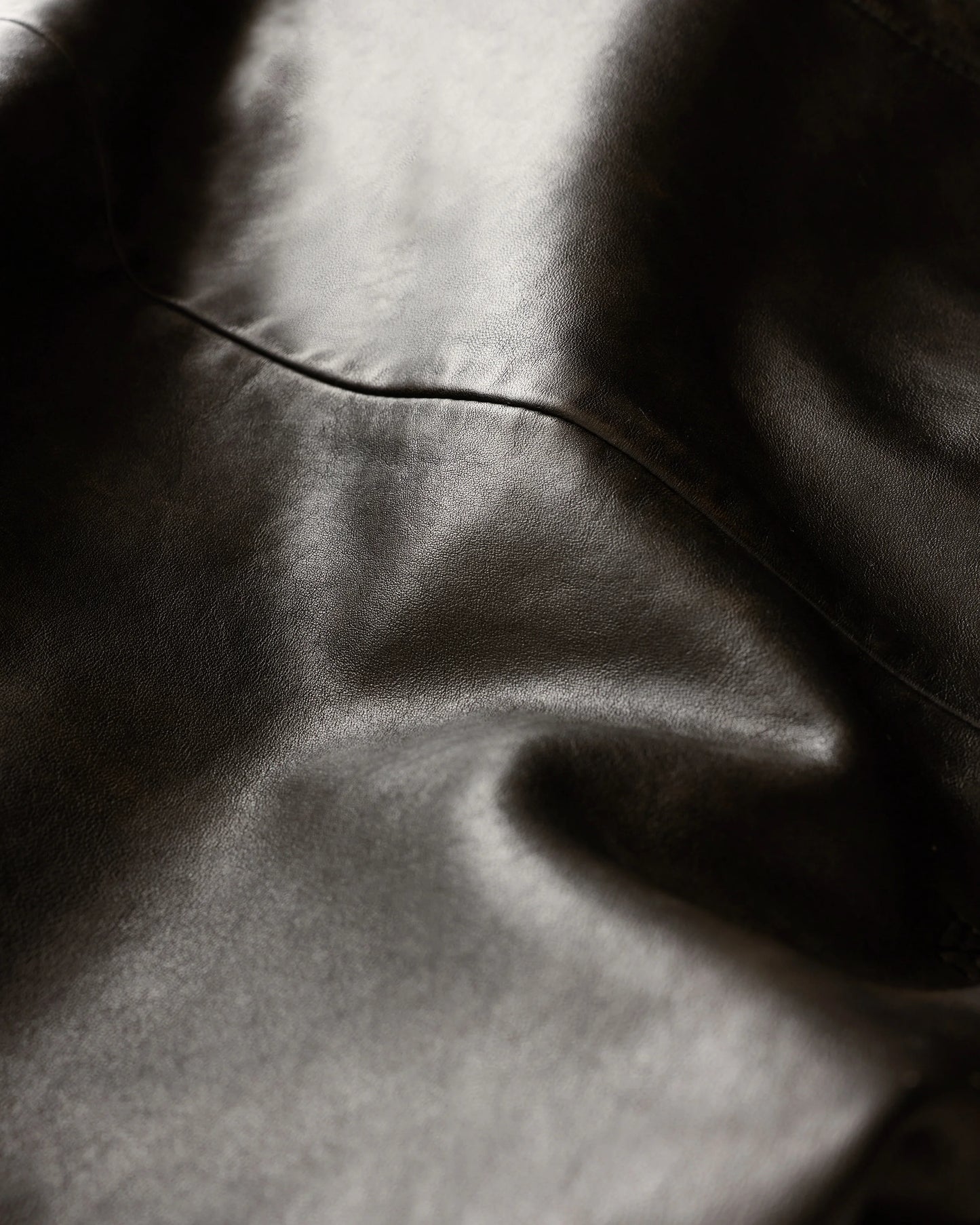 Shearling Collar Leather Flight Jacket - S / True Black